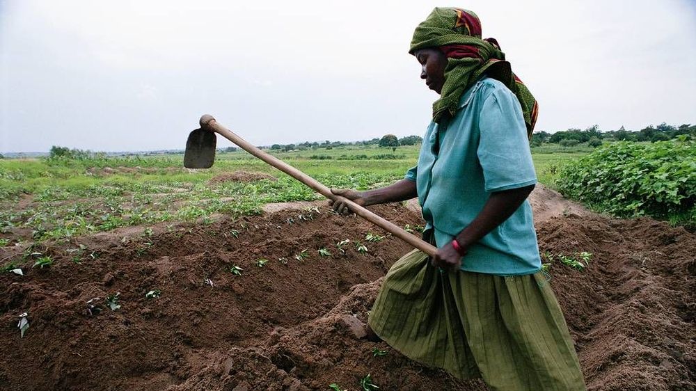 Африканская женщина работает в поле