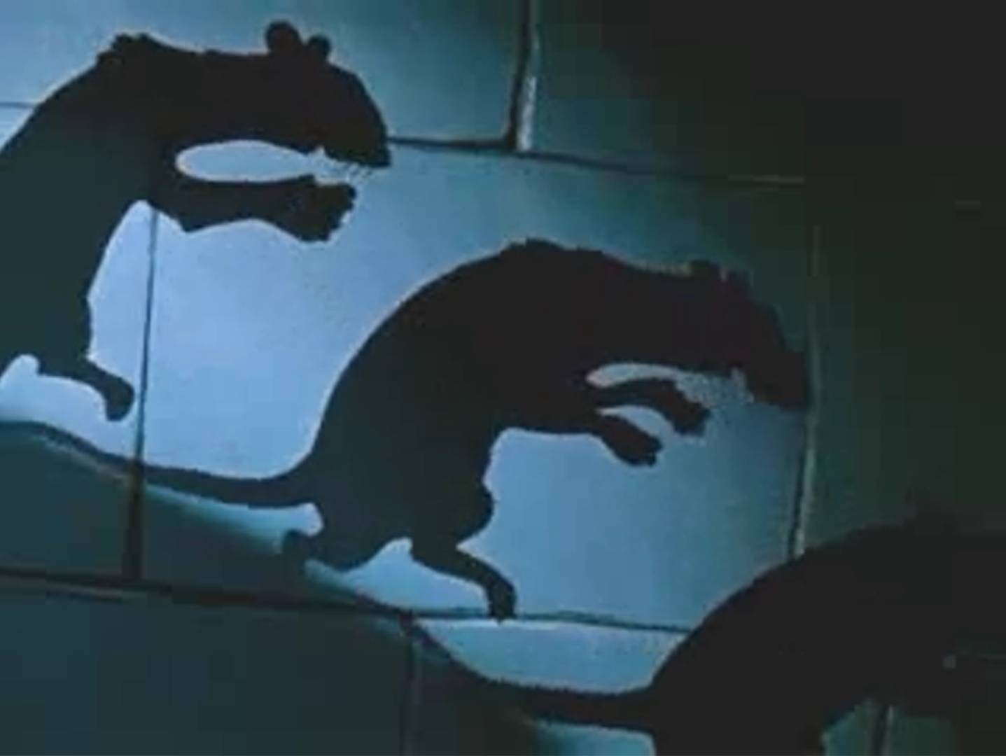 Нашествие крыс