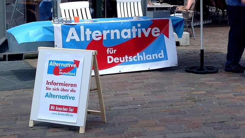 Баннер «Альтернатива для Германии»