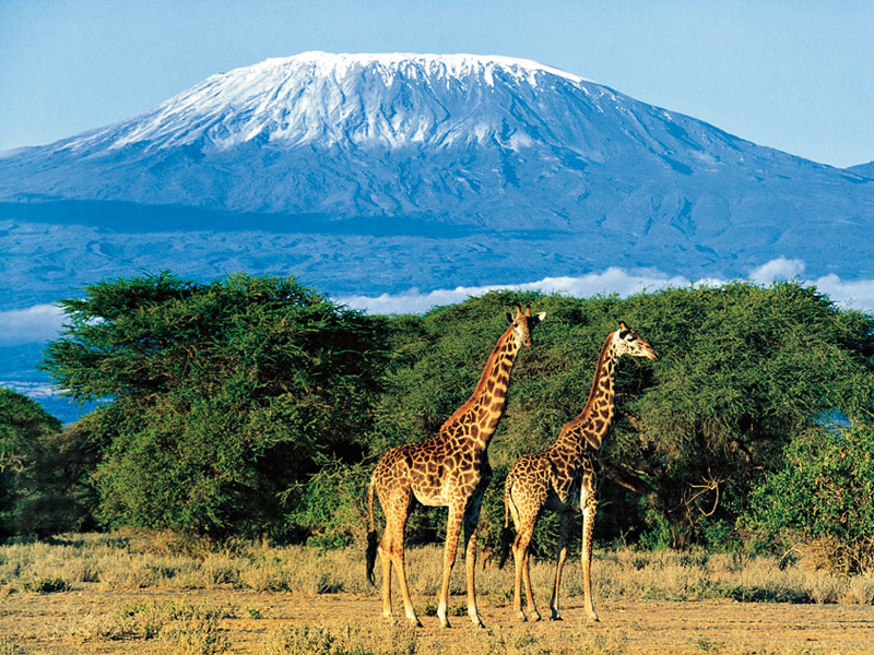 Гора Килиманджаро.