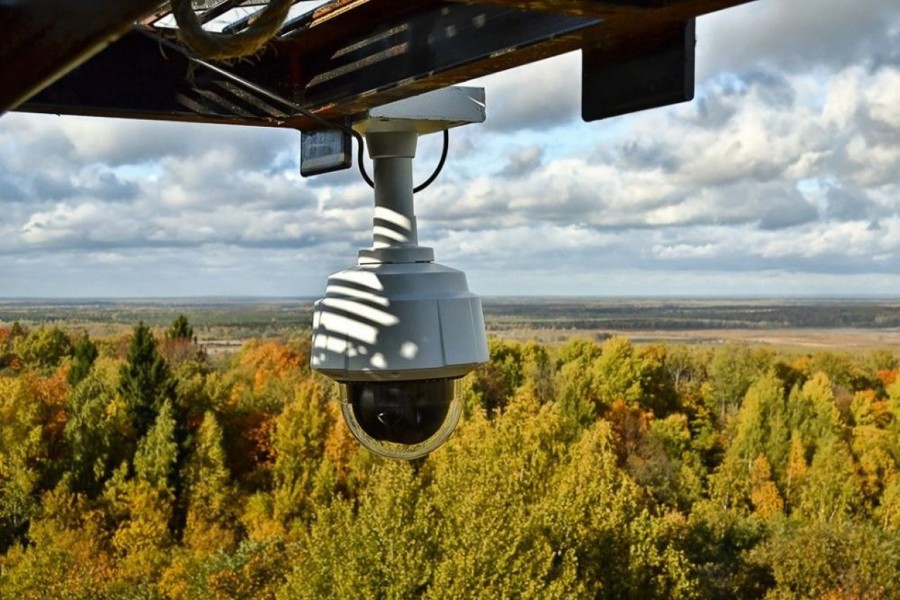 Видиокамеры мониторят лесные пожары