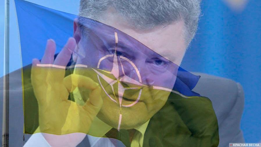 Украина и НАТО