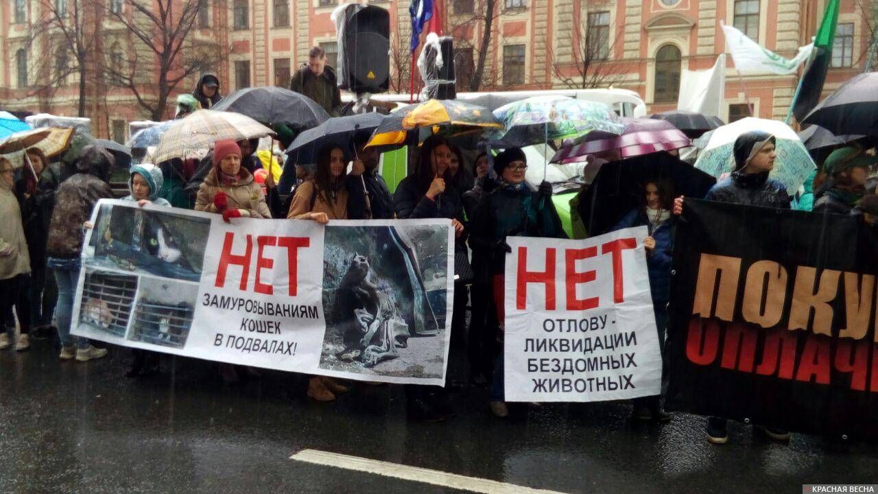 Защитники животных на первомайской демонстрации в Санкт-Петербурге
