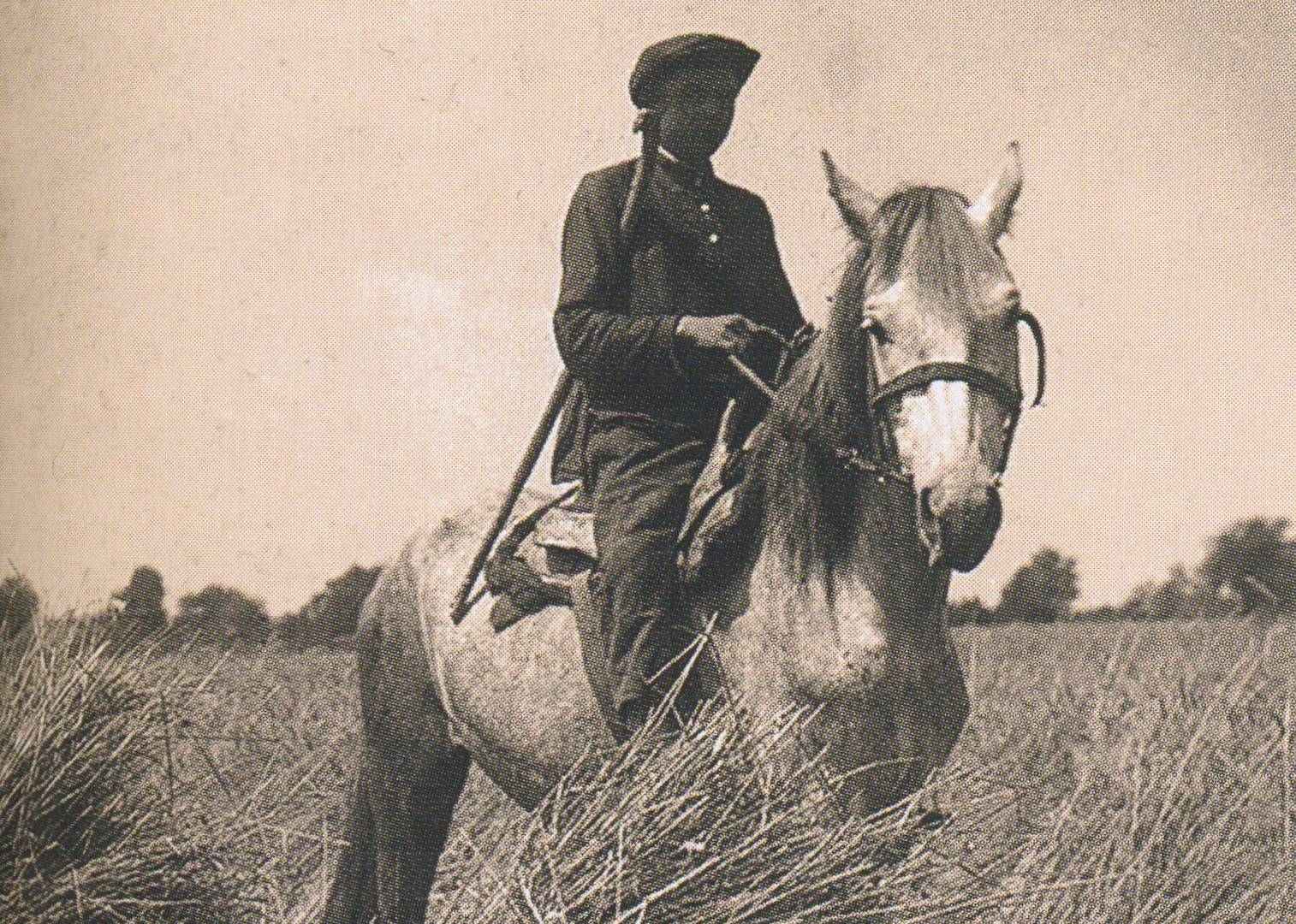 Полтавская область. Сторож в поле. 1932