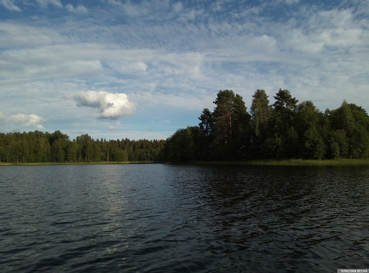 Озеро Пётрово. Валдайский район, Новгородская область