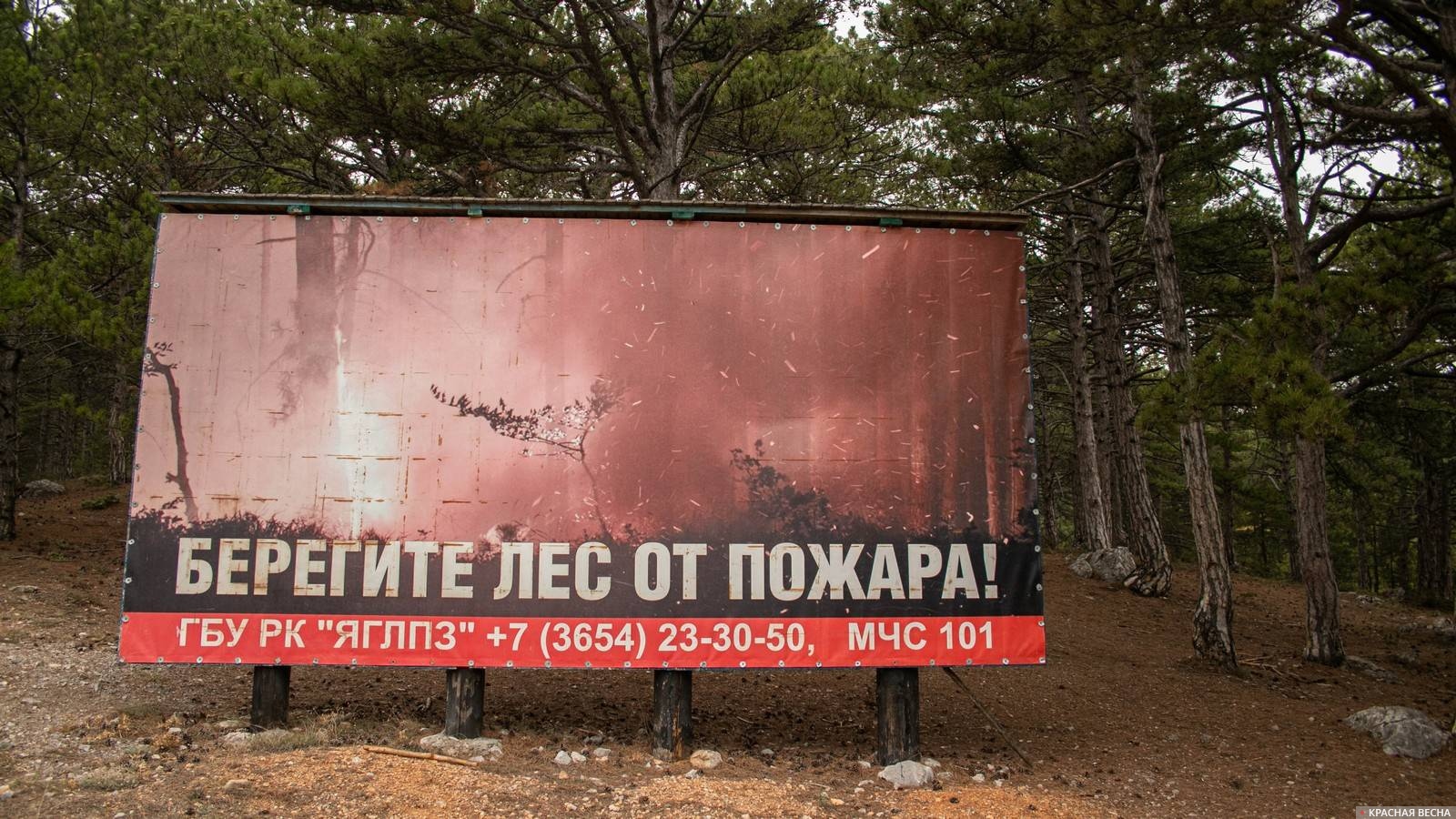 Берегите лес от пожара! Крым