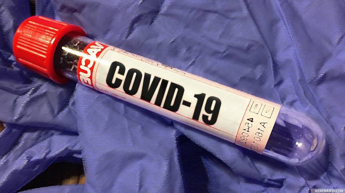 Тест на коронавирус