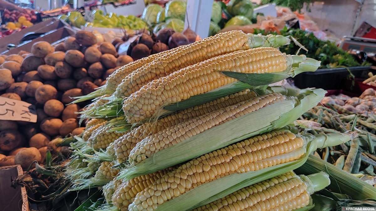 Продуктовый рынок базар кукуруза