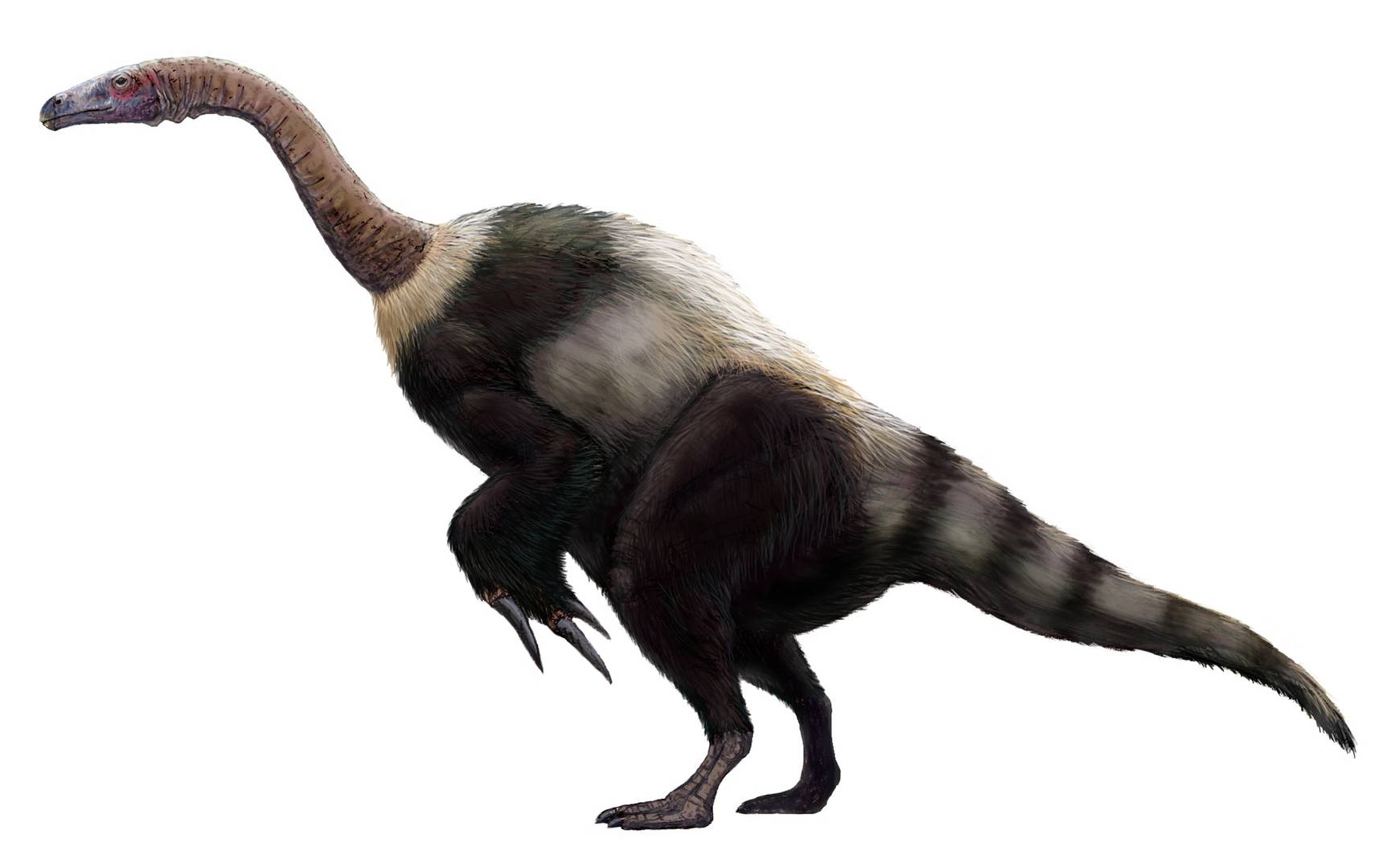 Suzhousaurus megatherioides, реконструкция