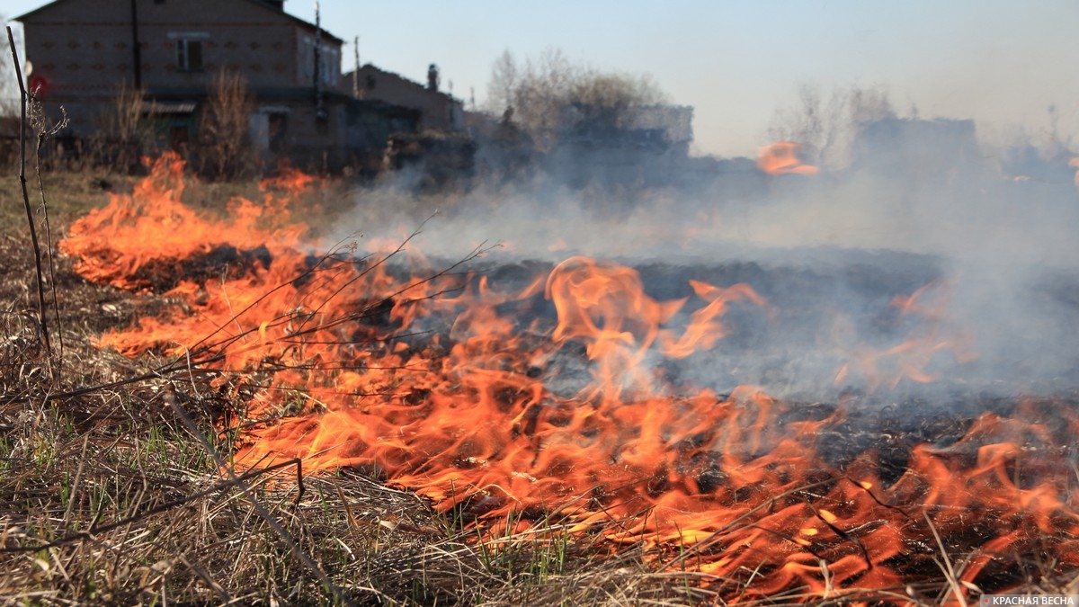 В Томске и области продлен особый противопожарный режим на 2 недели