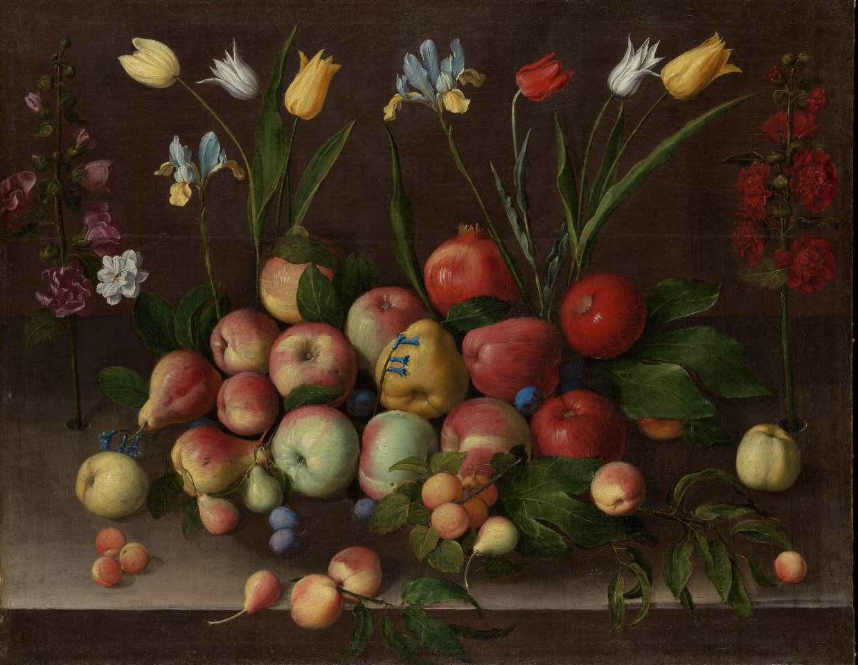 Орсола Мадделена Качча. Фрукты и цветы.1630