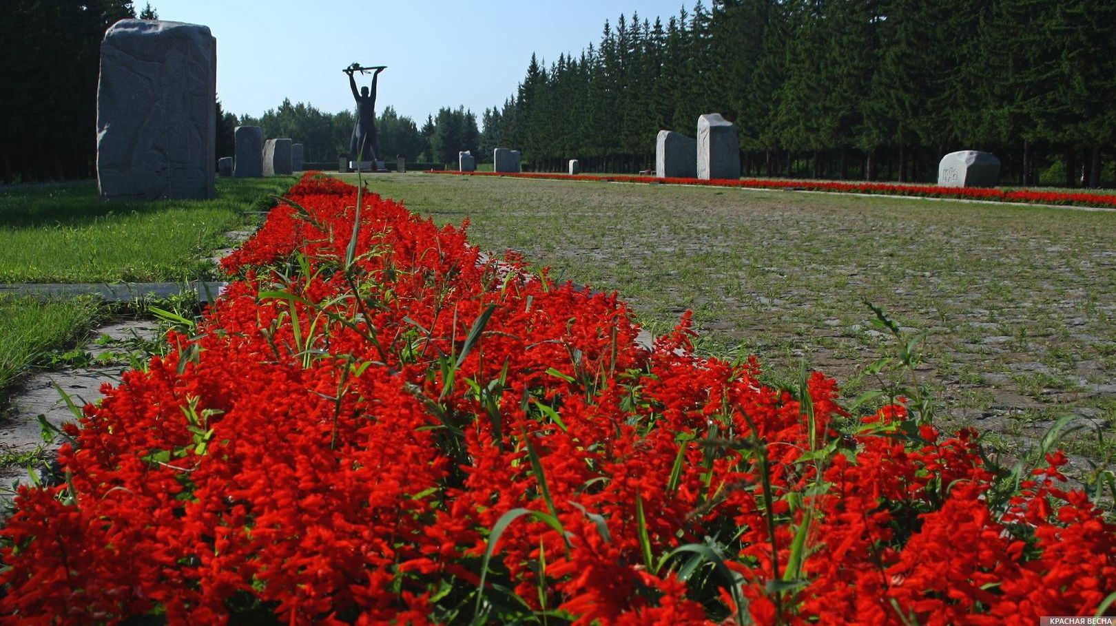 Памятник Солдату-победителю в Парке Победы. Омск
