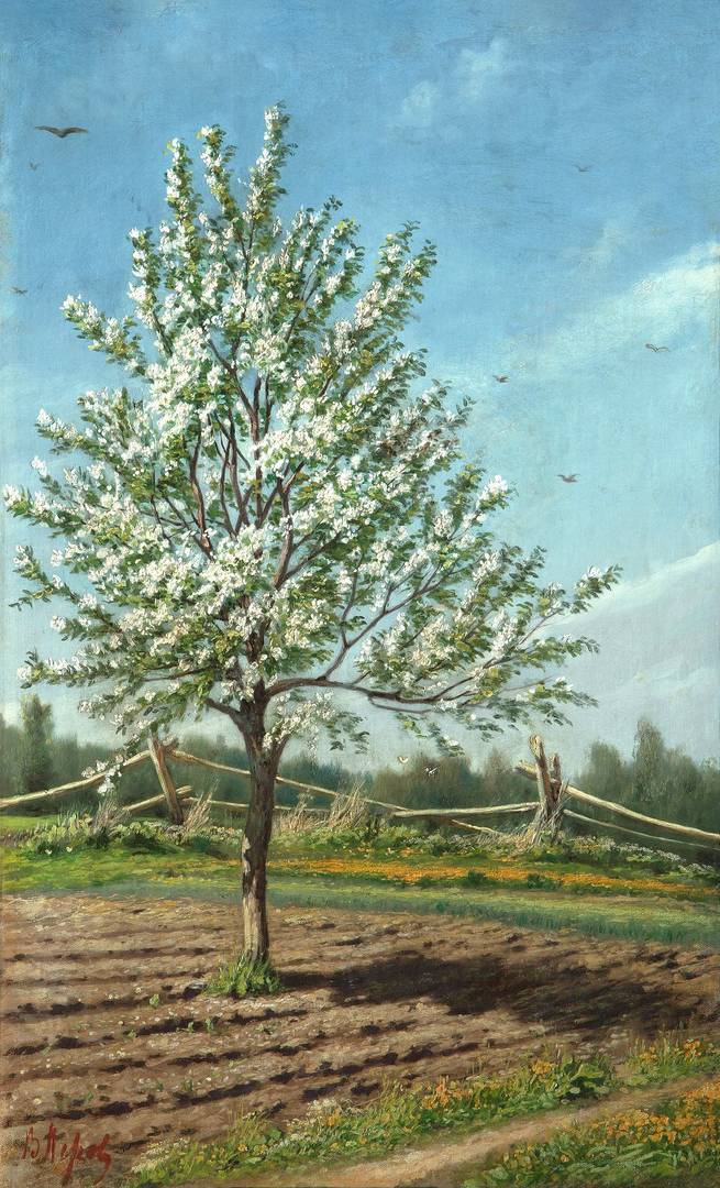 Василий Перов. Яблоня в цвету. 1874