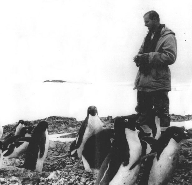 Первый президент Всемирного фонда дикой природы Великобритании (WWF) Принц Филипп кормит пингвинов