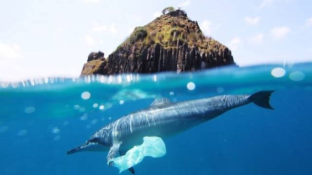 Пластиковые отходы в океане