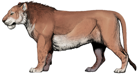 Реконструкция облика самца пещерного льва