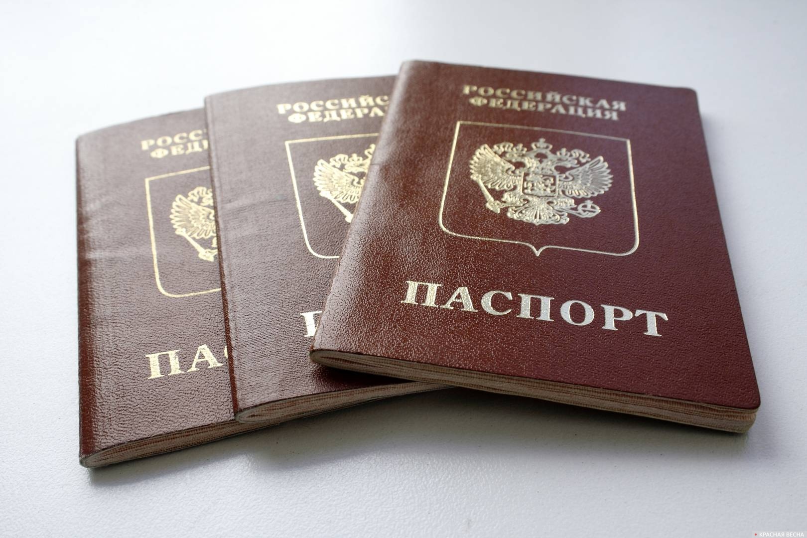 Заграничный паспорт старого образца