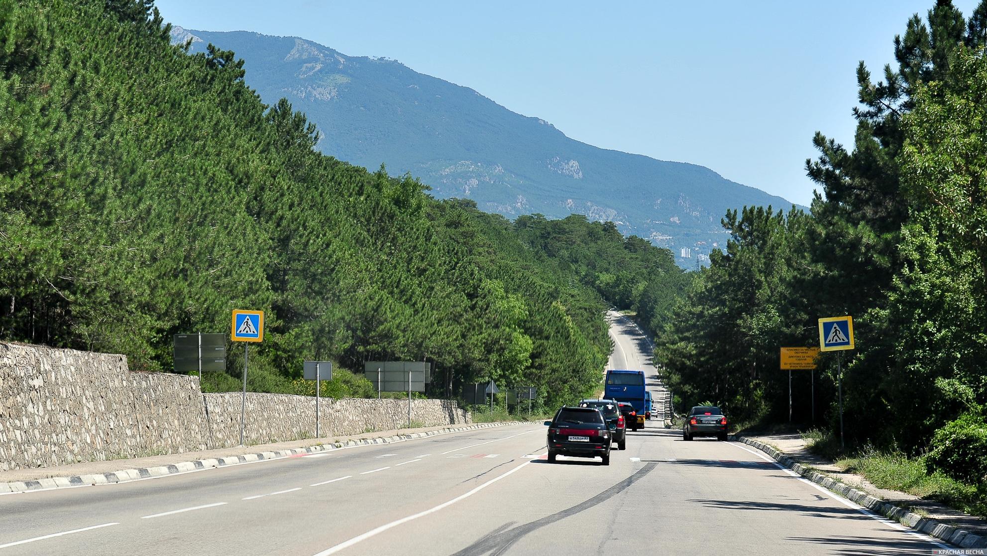 Автомобильная дорога на южном побережье Крыма [Максим Додонов © Красная Весна]