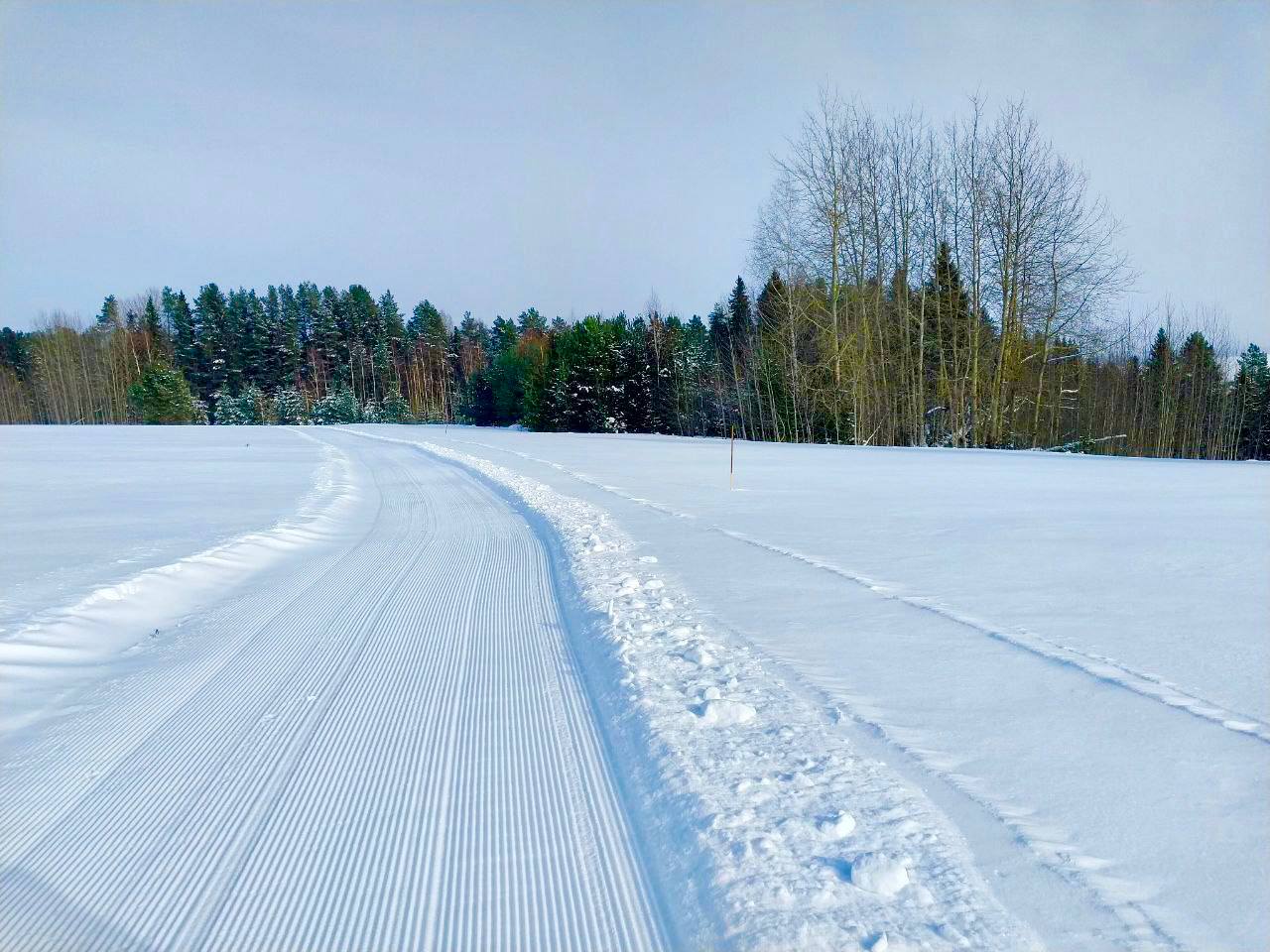 Лыжная трасса Всероссийского лыжного марафона «Галичское Заозерье»