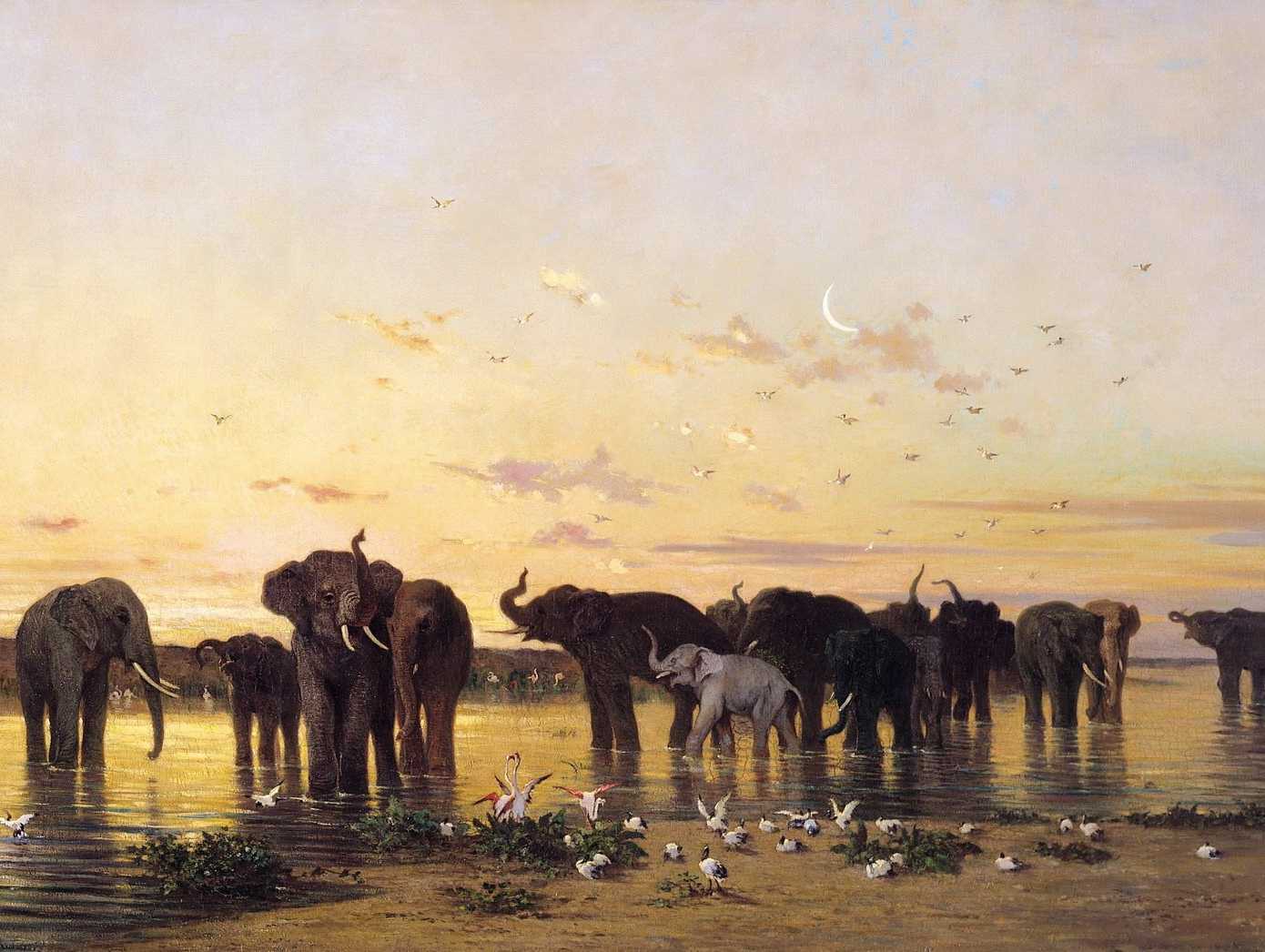 Шарль Эмиль де Турнемин. Африканские слоны