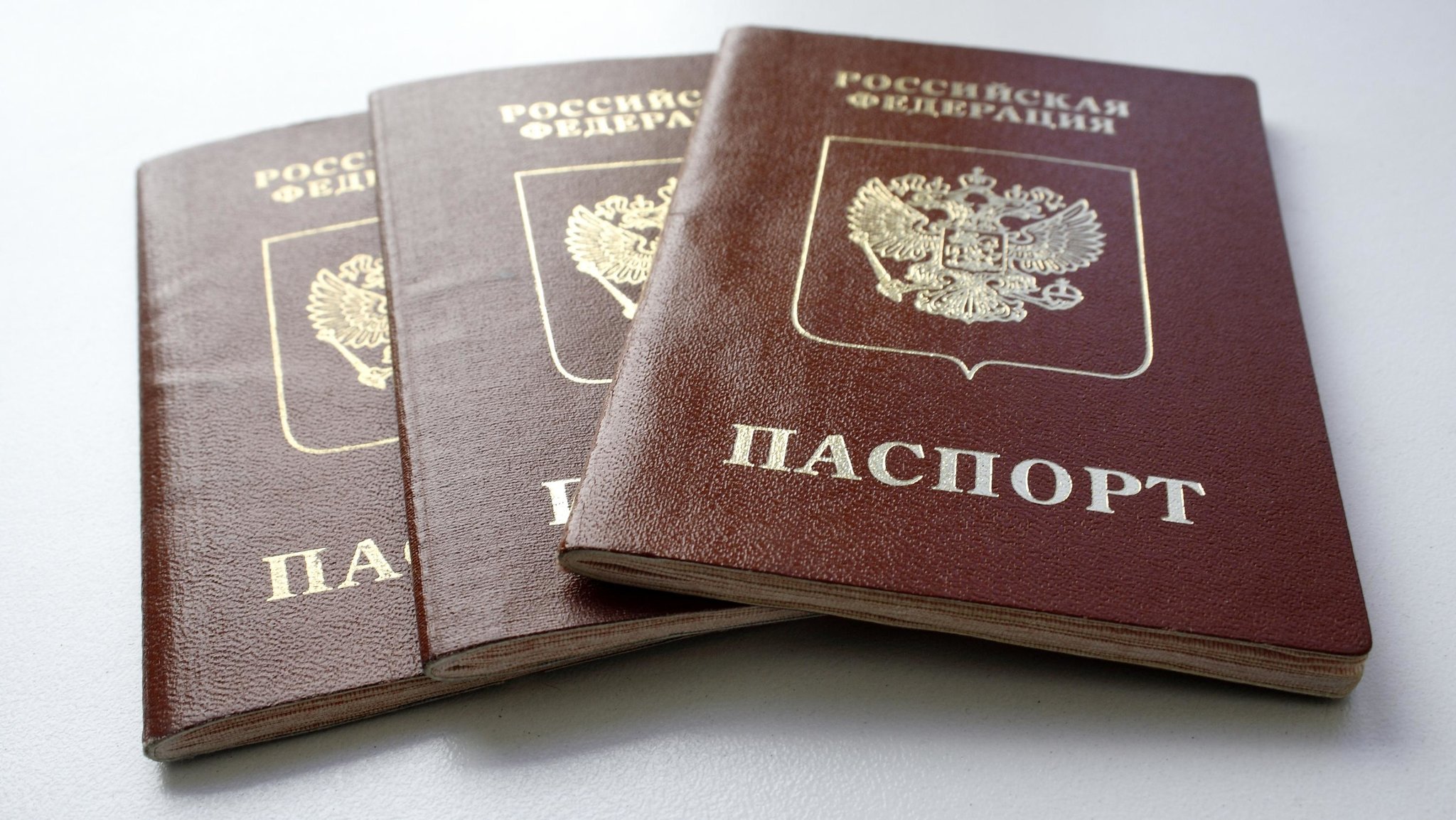 Заграничный паспорт старого образца [Анна Рыжкова © ИА Красная Весна]