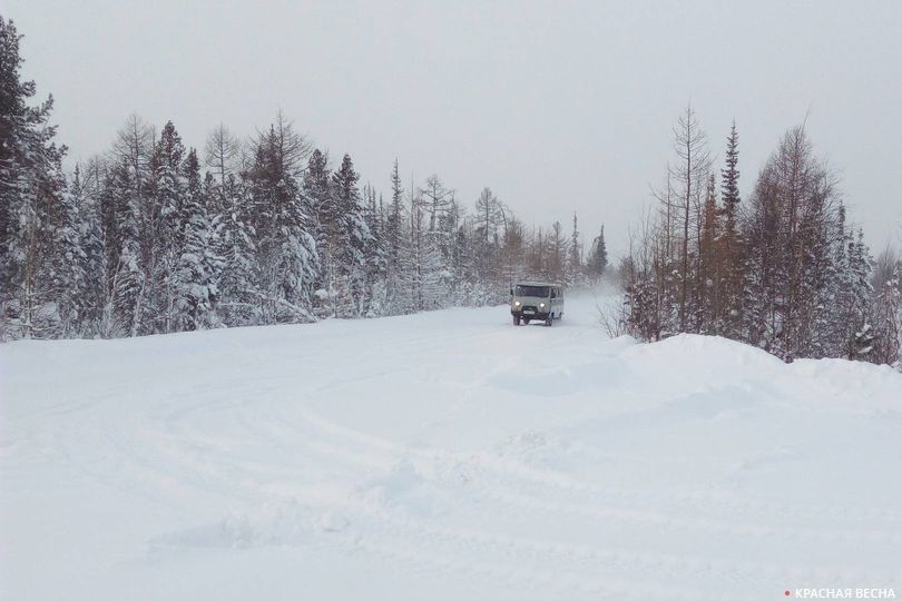 Заснеженная дорога