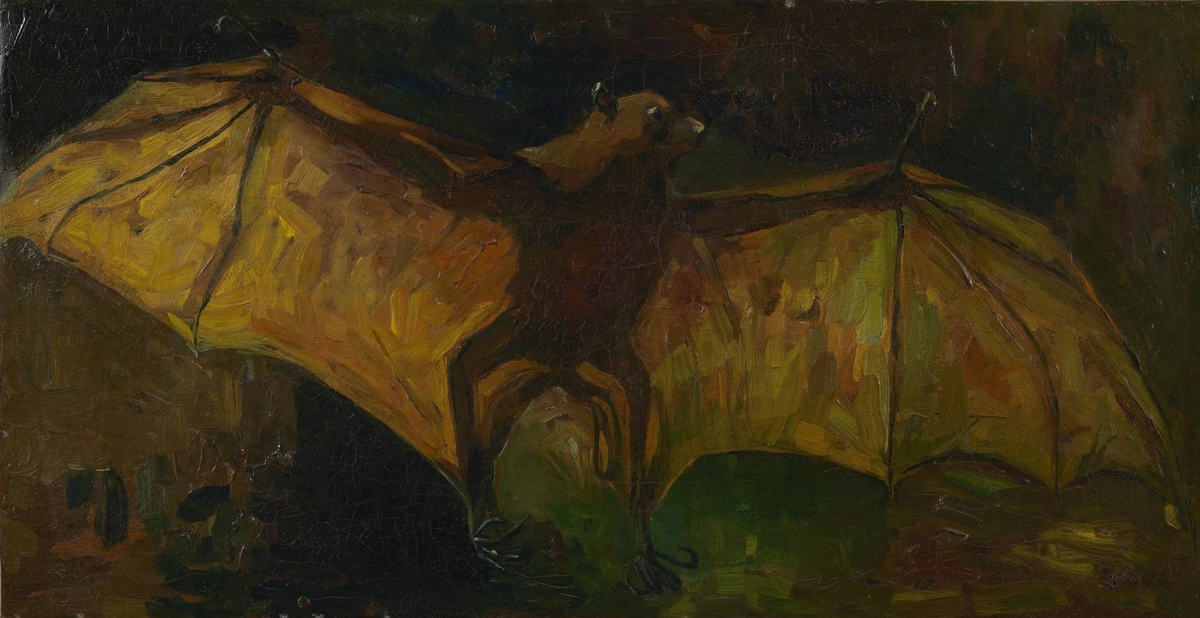 Винсент Ван Гог. Летучая лисица. 1884