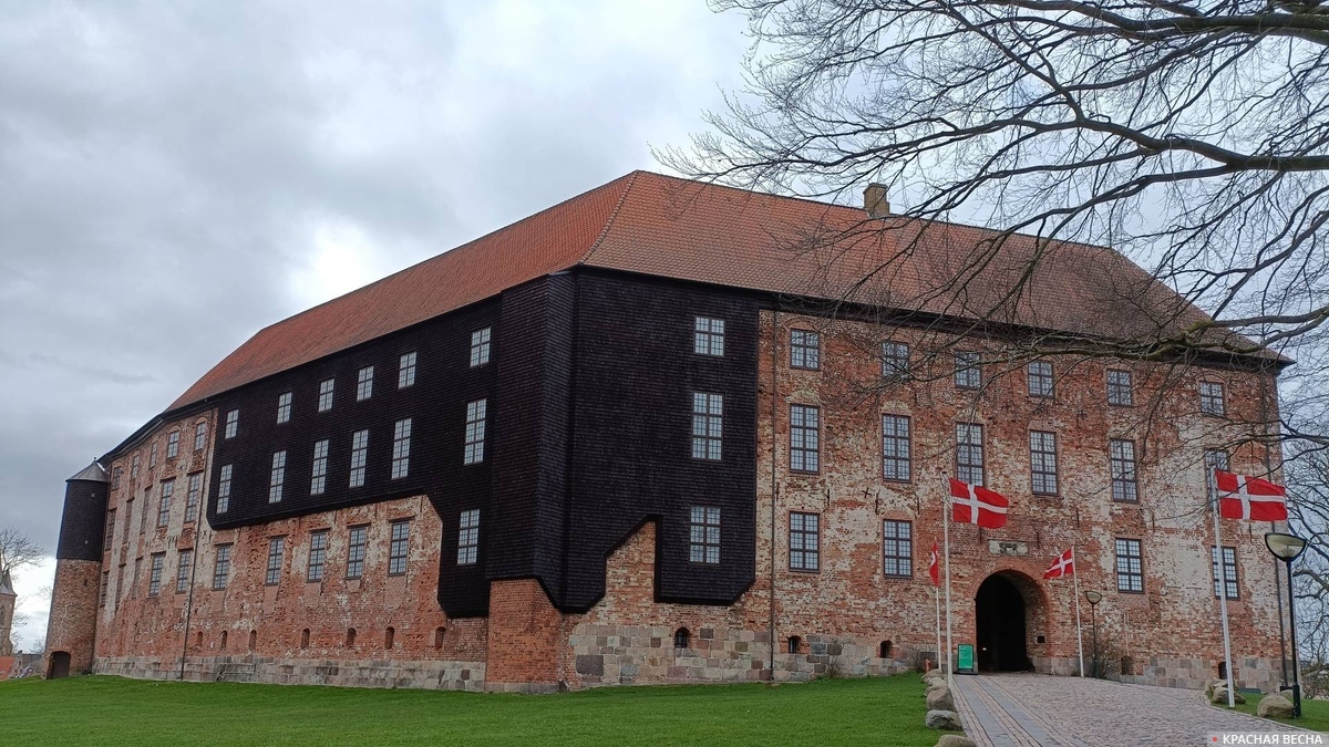 Минюст Германии запланировал переговоры с талибами* о депортации