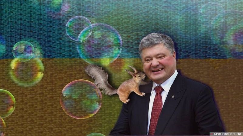 Порошенко и белка