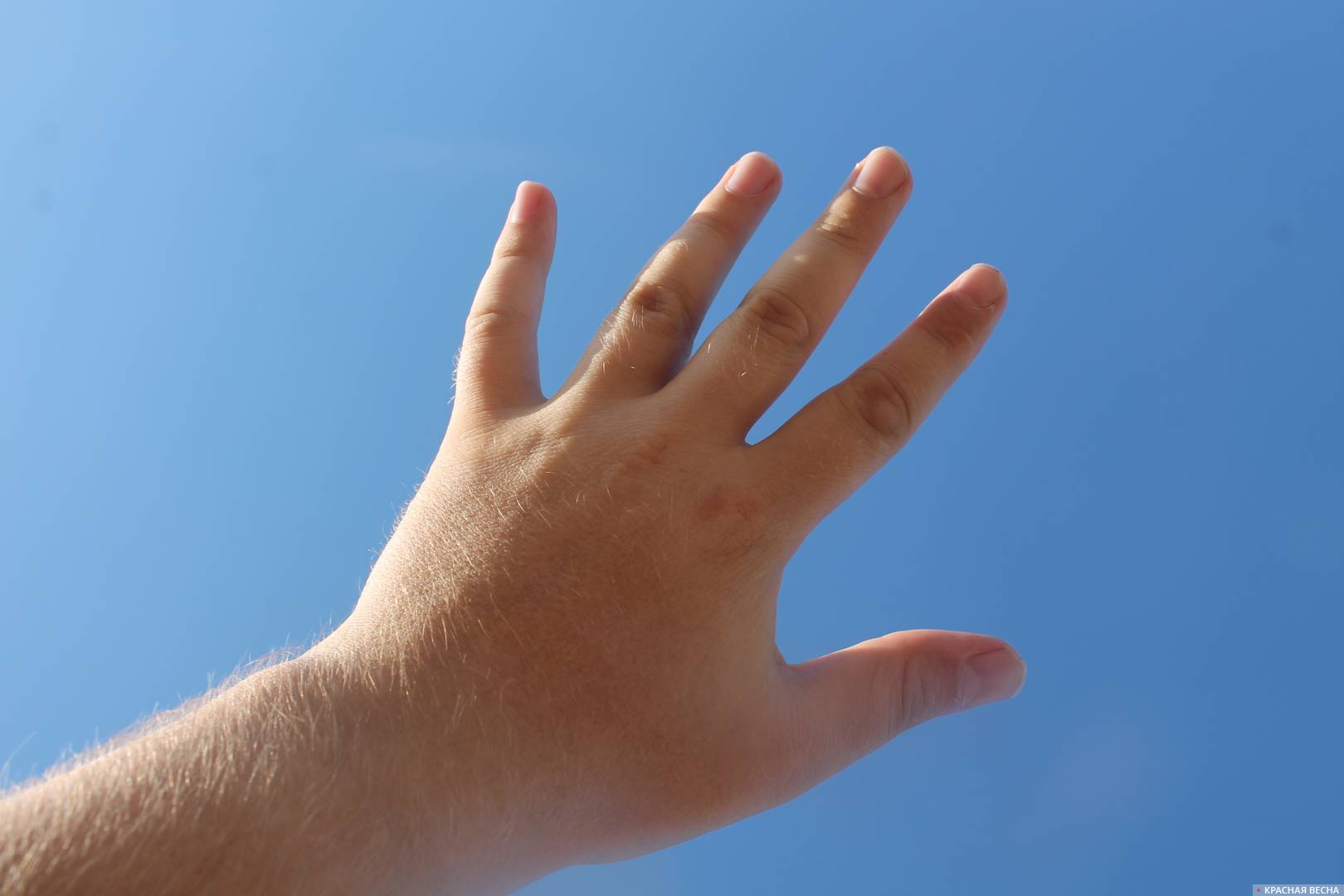 Руки к небу