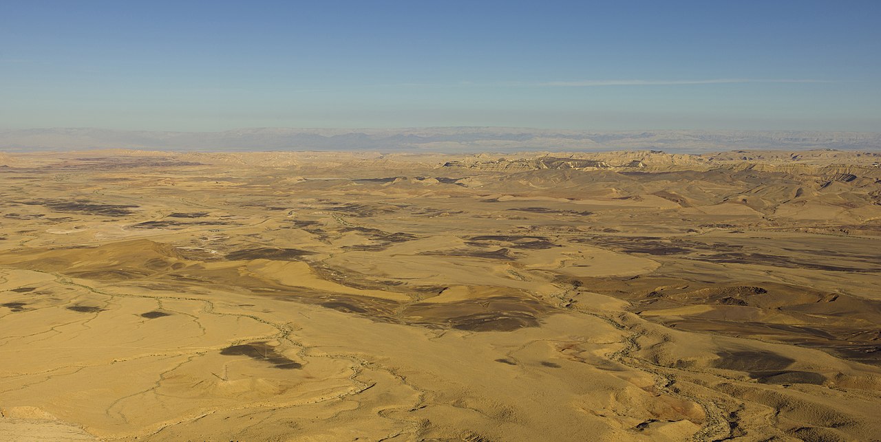 Пустыня Негев. Израиль