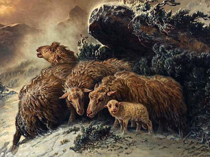 Август Шенк. Овцы в буран (фрагмент)
