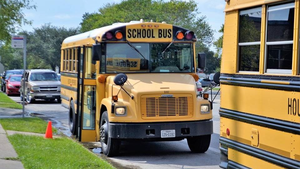 Школьный автобус. США