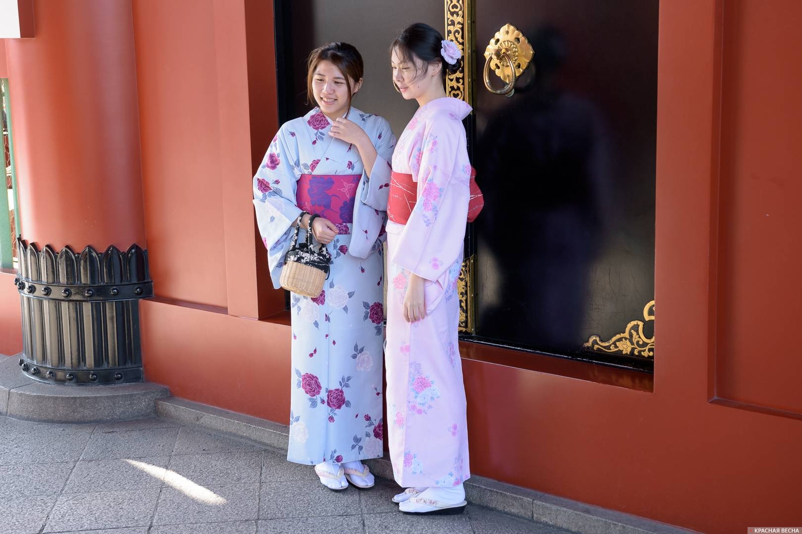 Молодые японки в кимоно, Токио, Япония 07.11.2016