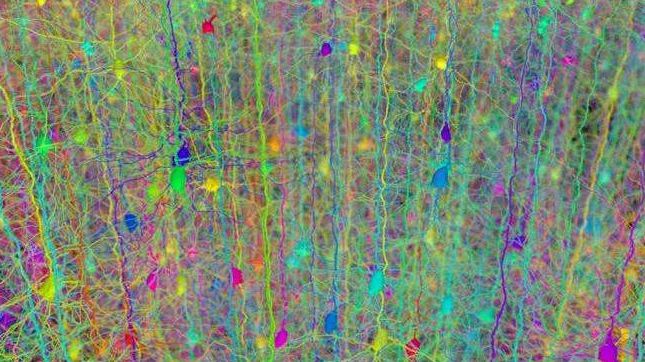 Компьютерная модель нейронов