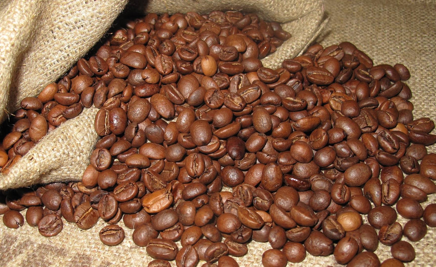 арабика кофе в зернах