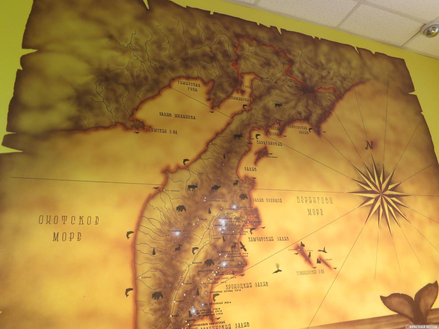 Карта полуострова Камчатка. Центр и север.