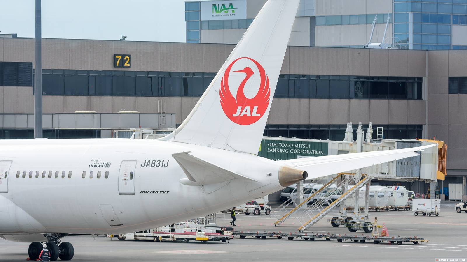 Boeing 787 авиакомпании Japan Airlines в аэропорту Нарита.