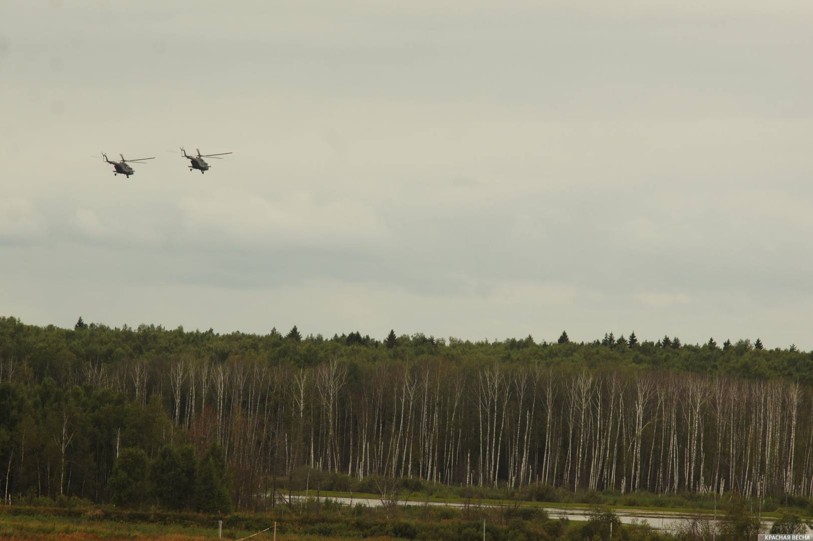 Вертолёты над лесом
