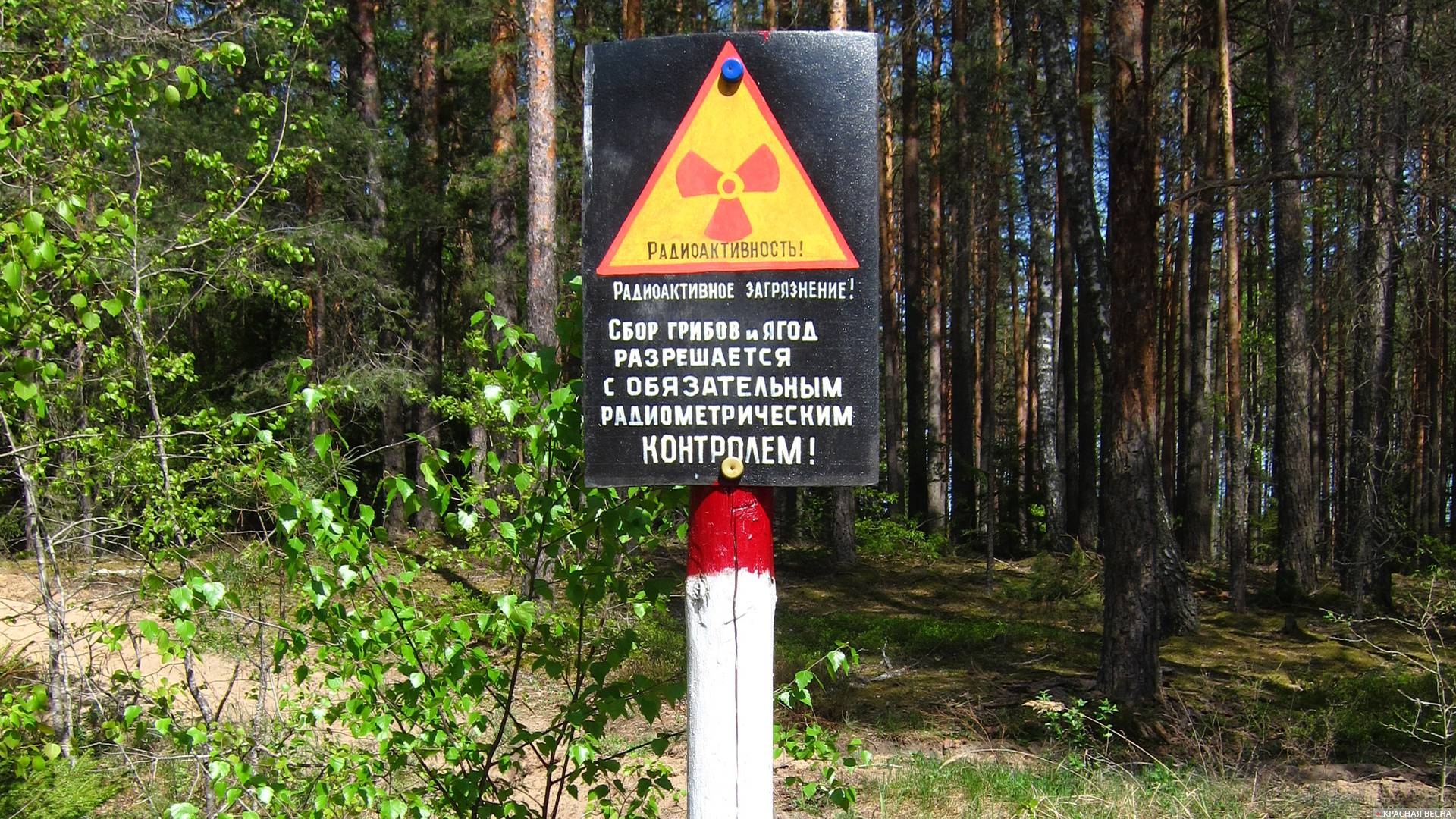 Радиоактивное загрязнение! Белоруссия