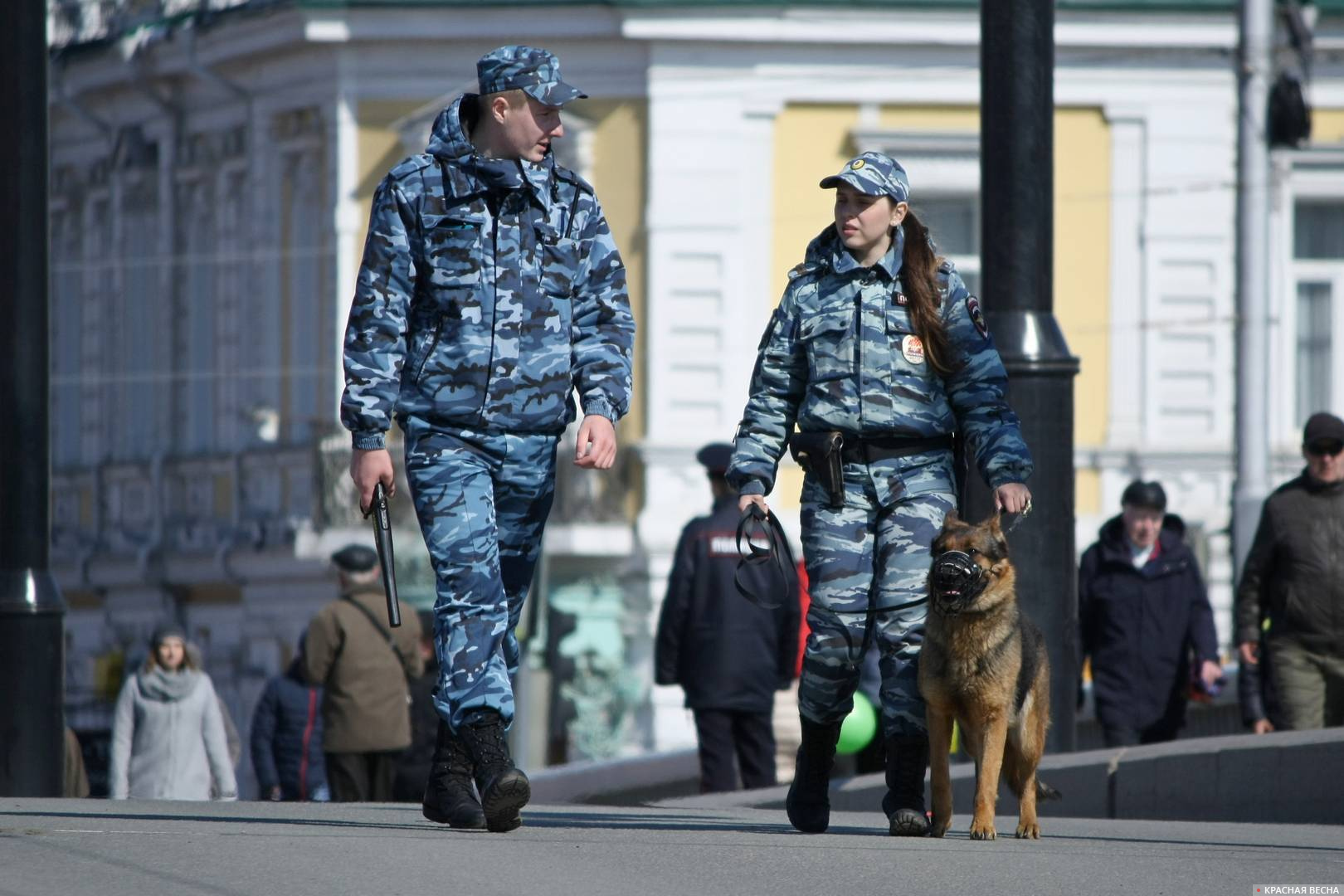 Полиция с собакой