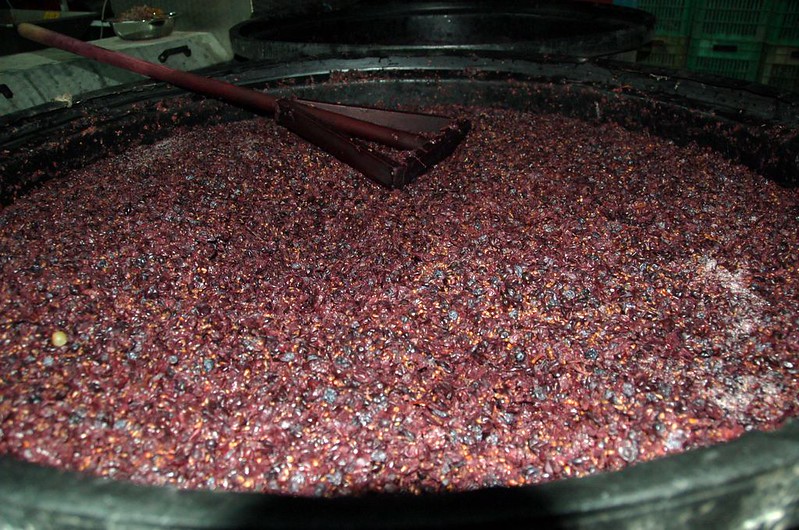 Красное вино в процессе приготовления