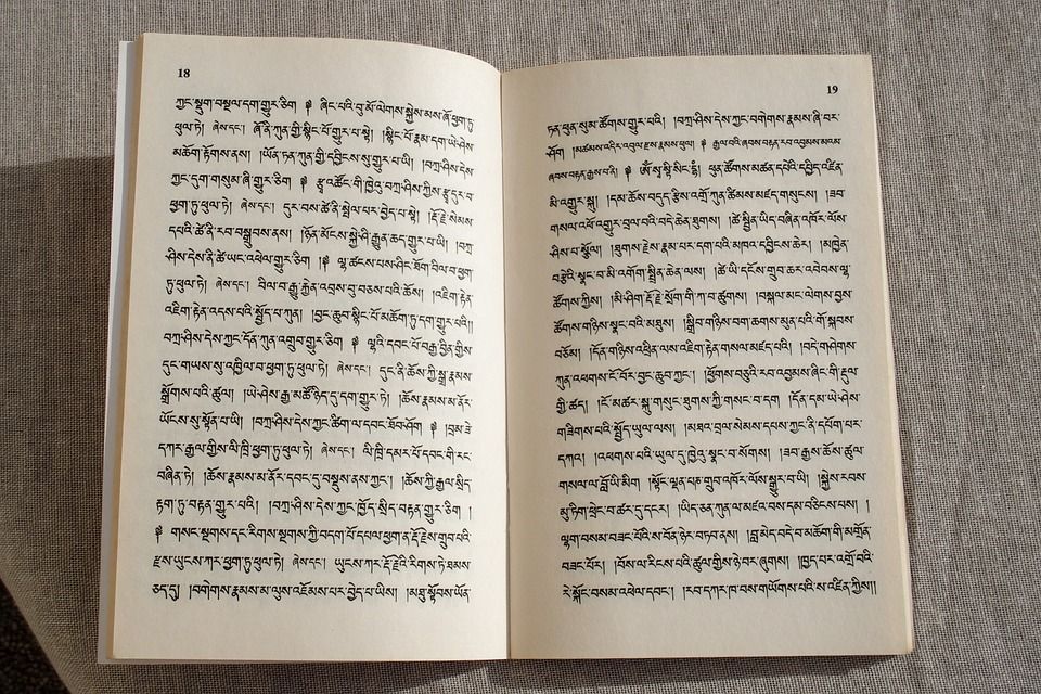 книга, тибетский, чтение