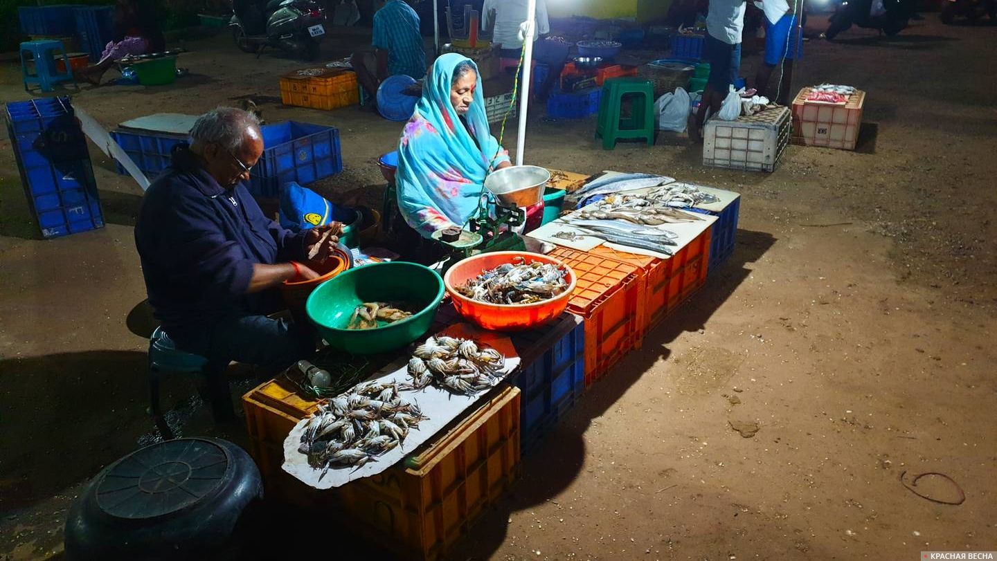 Продавцы морепродуктов. Индия