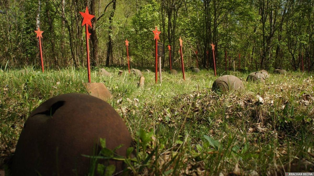 Кладбище советских солдат в лесу