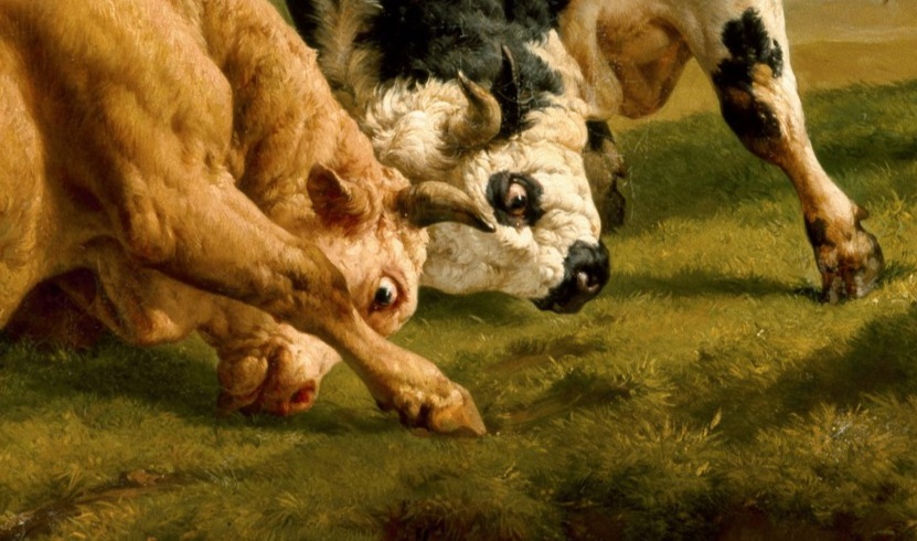 Жак Раймон Браскасса. Драка быков (фрагмент). 1855