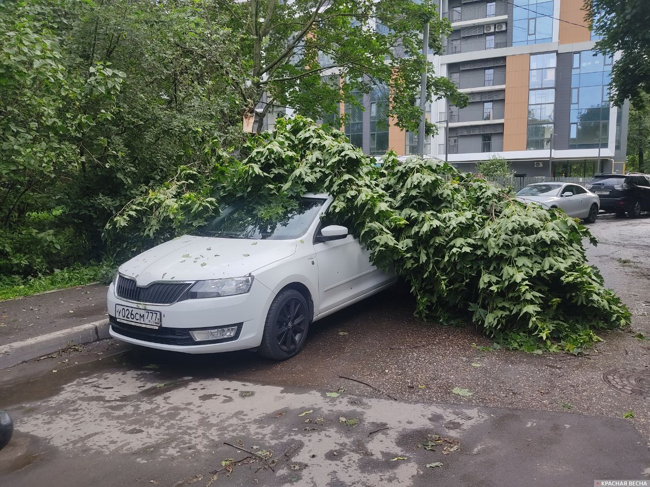 Ураган повредил несколько машин на юге Москвы
