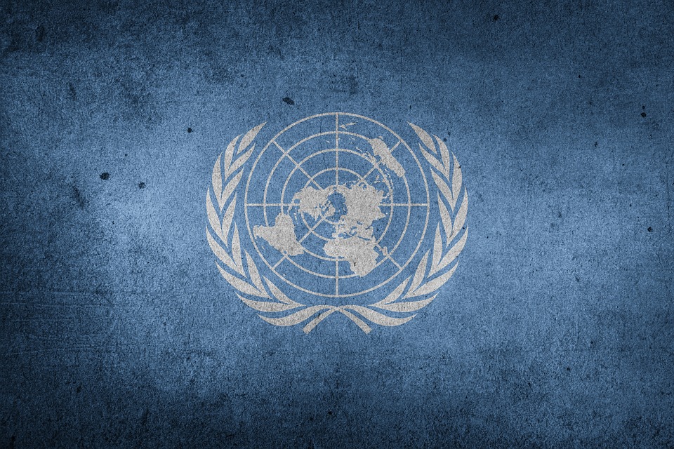 Флаг Организации Объединённых Наций [Etereuti (сс)]