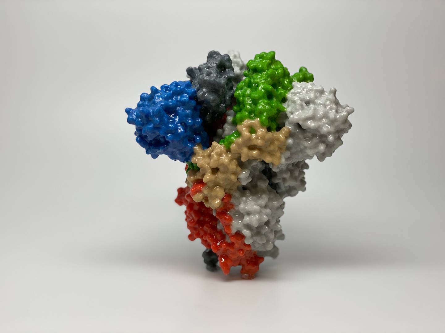 S-белок SARS-CoV-2 (3d модель)