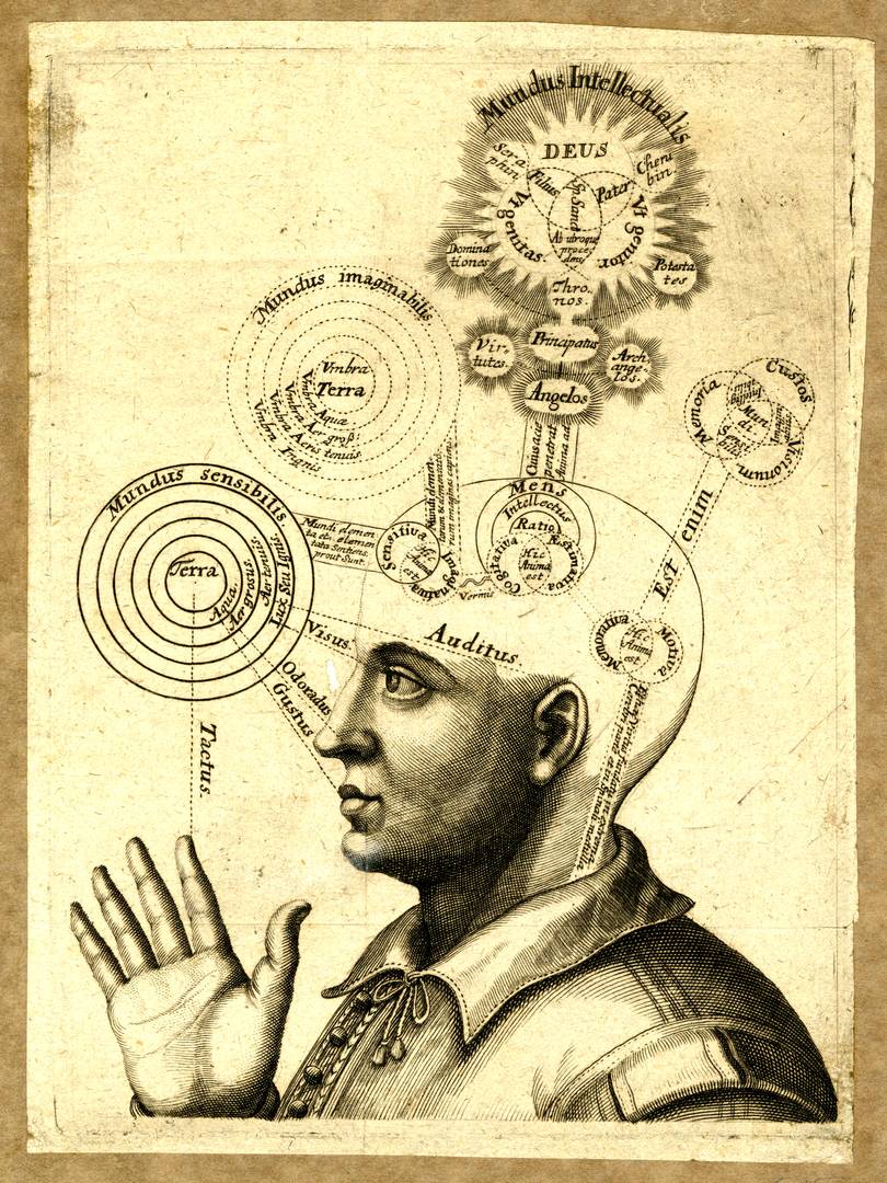 Старинная гравюра, представляющая области мозга. Около 1650